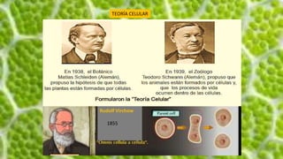 TEORÍA CELULAR
Rudolf Virchow
1855
 
