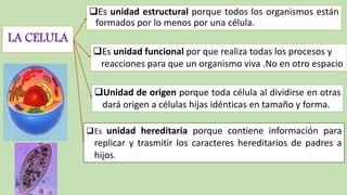 LA CELULA
Es unidad estructural porque todos los organismos están
formados por lo menos por una célula.
Es unidad funcional por que realiza todas los procesos y
reacciones para que un organismo viva .No en otro espacio
Unidad de origen porque toda célula al dividirse en otras
dará origen a células hijas idénticas en tamaño y forma.
Es unidad hereditaria porque contiene información para
replicar y trasmitir los caracteres hereditarios de padres a
hijos.
 