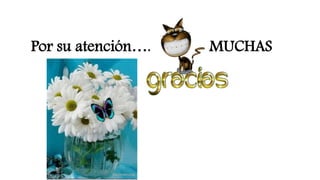 Por su atención…. MUCHAS
 