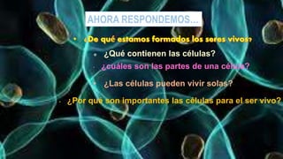 AHORA RESPONDEMOS…
 ¿Qué contienen las células?
• ¿Las células pueden vivir solas?
• ¿Por qué son importantes las células para el ser vivo?
• ¿cuáles son las partes de una célula?
 