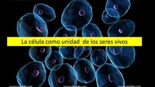 La célula como unidad de los seres vivos
 