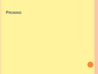 PRUNING
 