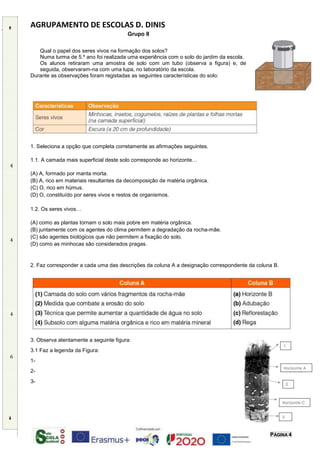 AGRUPAMENTO DE ESCOLAS D. DINIS
PÁGINA 4
Grupo II
Qual o papel dos seres vivos na formação dos solos?
Numa turma de 5.º ano foi realizada uma experiência com o solo do jardim da escola.
Os alunos retiraram uma amostra de solo com um tubo (observa a figura) e, de
seguida, observaram-na com uma lupa, no laboratório da escola.
Durante as observações foram registadas as seguintes características do solo:
1. Seleciona a opção que completa corretamente as afirmações seguintes.
1.1. A camada mais superficial deste solo corresponde ao horizonte…
(A) A, formado por manta morta.
(B) A, rico em materiais resultantes da decomposição de matéria orgânica.
(C) O, rico em húmus.
(D) O, constituído por seres vivos e restos de organismos.
1.2. Os seres vivos…
(A) como as plantas tornam o solo mais pobre em matéria orgânica.
(B) juntamente com os agentes do clima permitem a degradação da rocha-mãe.
(C) são agentes biológicos que não permitem a fixação do solo.
(D) como as minhocas são considerados pragas.
2. Faz corresponder a cada uma das descrições da coluna A a designação correspondente da coluna B.
3. Observa atentamente a seguinte figura:
3.1 Faz a legenda da Figura:
1-
2-
3-
4
4
4
6
 