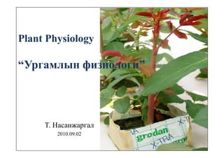 1th  хаан үйлдвэрлэлд ургамлын физиологийн гүйцэтгэх үүрэг, хөгжлийн