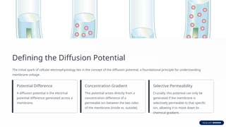 Nerve lecture 1: The-Resting-Membrane-Potential-donan and equilibrium ...