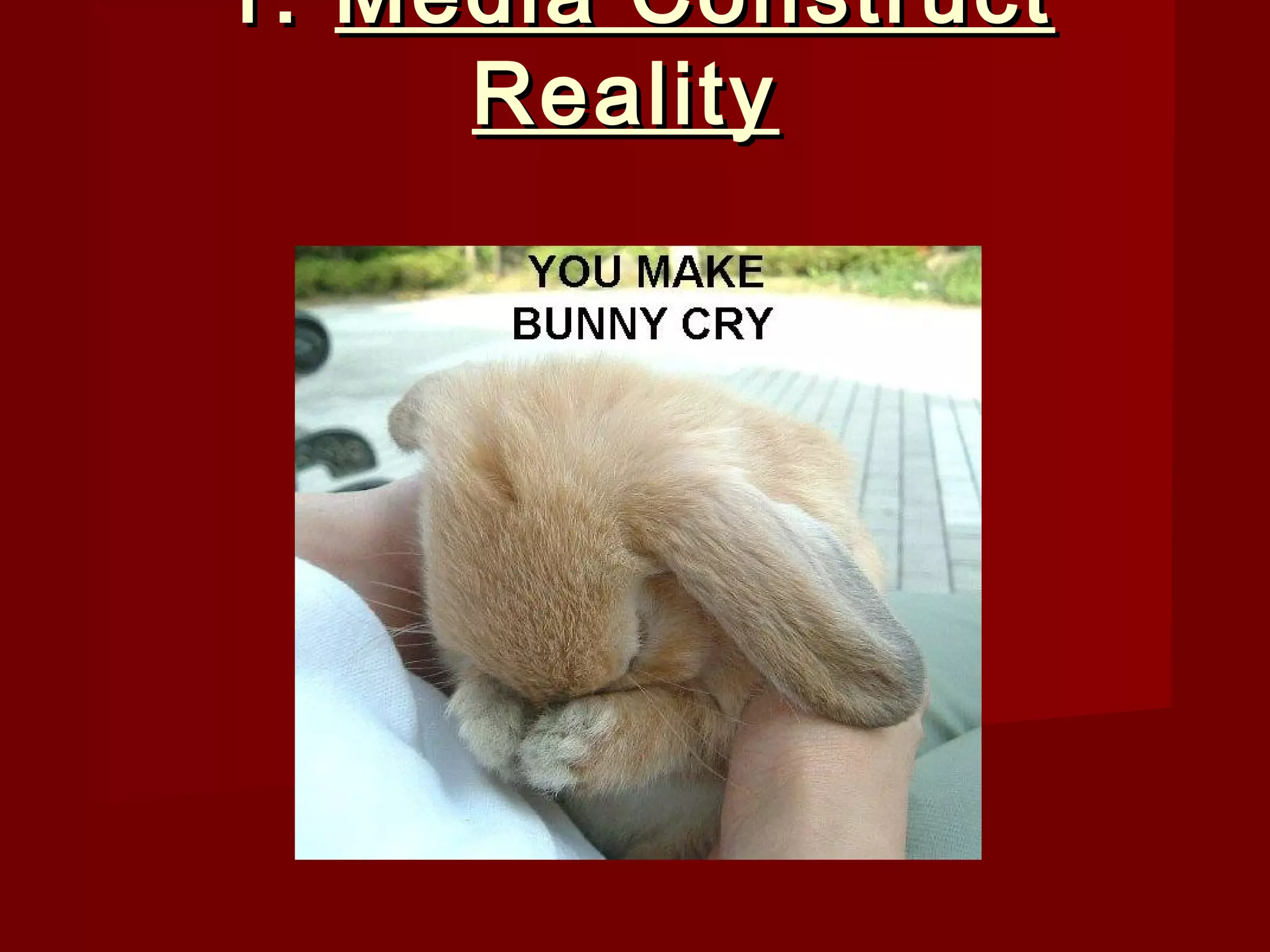 1. Media Construct
     Reality
 