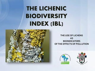 THE USE OF LICHENS
AS
BIOINDICATORS
OFTHE EFFECTS OF POLLUTION
 