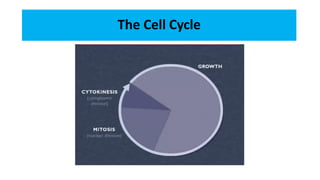 Normal Cell First Evulation 1 The Normal Cell uni malaya prof dr.pdf