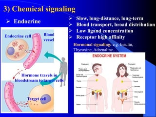 1 the progress of cell signaling.pdf Understanding cell signaling | PDF