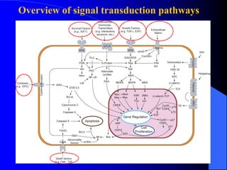 1 the progress of cell signaling.pdf Understanding cell signaling | PDF