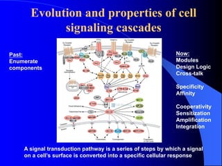 1 the progress of cell signaling.pdf Understanding cell signaling | PDF
