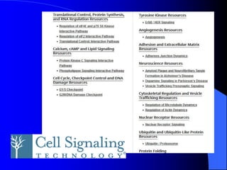 1 the progress of cell signaling.pdf Understanding cell signaling | PDF