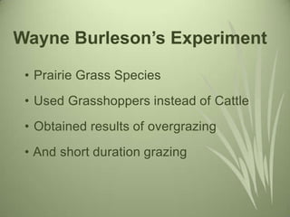 • Prairie Grass Species
• Used Grasshoppers instead of Cattle
• Obtained results of overgrazing
• And short duration grazing
Wayne Burleson’s Experiment
 