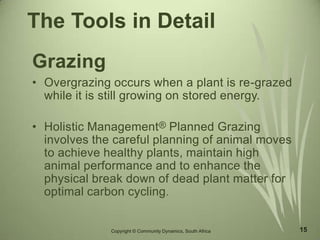 Copyright © Community Dynamics, South Africa 15
The Tools in Detail
Grazing
• Overgrazing occurs when a plant is re-grazed
while it is still growing on stored energy.
• Holistic Management® Planned Grazing
involves the careful planning of animal moves
to achieve healthy plants, maintain high
animal performance and to enhance the
physical break down of dead plant matter for
optimal carbon cycling.
 