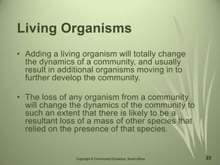 23
Living Organisms
• Adding a living organism will totally change
the dynamics of a community, and usually
result in additional organisms moving in to
further develop the community.
• The loss of any organism from a community
will change the dynamics of the community to
such an extent that there is likely to be a
resultant loss of a mass of other species that
relied on the presence of that species.
Copyright © Community Dynamics, South Africa
 