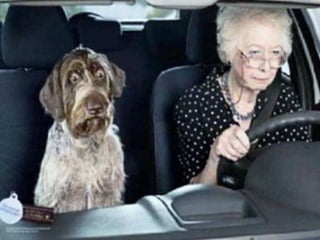 The Soil Ian Mitchell-Inness