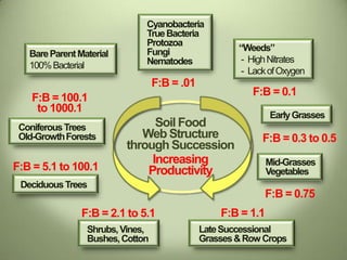 Soil Food
Web Structure
through Succession
Increasing
Productivity
F:B = .01
F:B = 0.1
F:B = 0.3 to 0.5
F:B = 0.75
F:B = 1.1F:B = 2.1 to 5.1
F:B = 5.1 to 100.1
F:B = 100.1
to 1000.1
BareParentMaterial
100%Bacterial
Cyanobacteria
TrueBacteria
Protozoa
Fungi
Nematodes
“Weeds”
- HighNitrates
- LackofOxygen
EarlyGrasses
Mid-Grasses
Vegetables
LateSuccessional
Grasses&RowCrops
Shrubs,Vines,
Bushes,Cotton
DeciduousTrees
ConiferousTrees
Old-GrowthForests
 