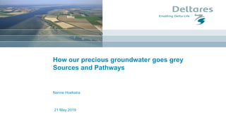 21 May 2019
How our precious groundwater goes grey
Sources and Pathways
Nanne Hoekstra
 