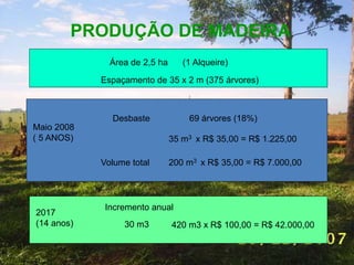 PRODUÇÃO DE MADEIRA 
Área de 2,5 ha (1 Alqueire) 
Espaçamento de 35 x 2 m (375 árvores) 
Maio 2008 
( 5 ANOS) 
Desbaste 69 árvores (18%) 
35 m3 x R$ 35,00 = R$ 1.225,00 
Volume total 200 m3 x R$ 35,00 = R$ 7.000,00 
2017 
(14 anos) 
Incremento anual 
30 m3 420 m3 x R$ 100,00 = R$ 42.000,00 
 