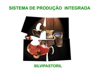 SISTEMA DE PRODUÇÃO INTEGRADA 
SILVIPASTORIL 
 
