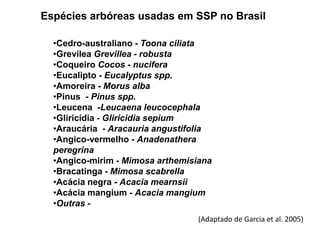 Espécies arbóreas usadas em SSP no Brasil 
•Cedro-australiano - Toona ciliata 
•Grevílea Grevillea - robusta 
•Coqueiro Cocos - nucifera 
•Eucalipto - Eucalyptus spp. 
•Amoreira - Morus alba 
•Pinus - Pinus spp. 
•Leucena -Leucaena leucocephala 
•Gliricídia - Gliricidia sepium 
•Araucária - Aracauria angustifolia 
•Angico-vermelho - Anadenathera 
peregrina 
•Angico-mirim - Mimosa arthemisiana 
•Bracatinga - Mimosa scabrella 
•Acácia negra - Acacia mearnsii 
•Acácia mangium - Acacia mangium 
•Outras - 
(Adaptado de Garcia et al. 2005) 
 