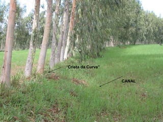 CANAL 
“Crista da Curva” 
 