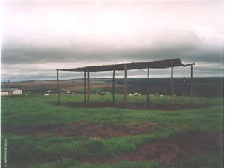 V. PORFÍRIO DA SILVA 
 