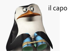 il capo
 