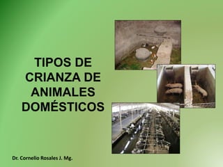 TIPOS DE
CRIANZA DE
ANIMALES
DOMÉSTICOS
Dr. Cornelio Rosales J. Mg.
 