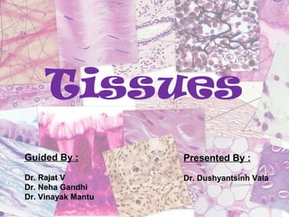 Tissues
Presented By :
Dr. Dushyantsinh Vala
Guided By :
Dr. Rajat V
Dr. Neha Gandhi
Dr. Vinayak Mantu
1
 