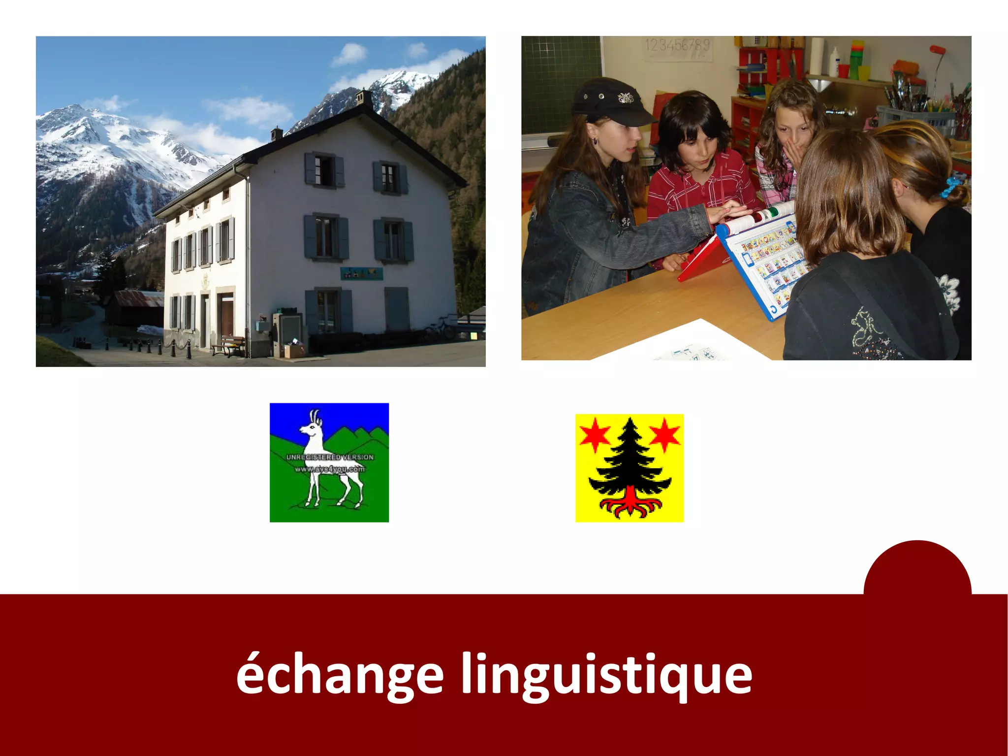 échange linguistique
 