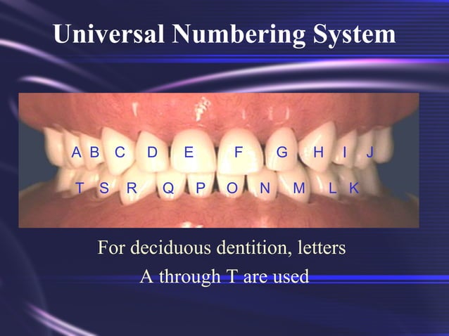 Tooth Morphology Basics | PPT
