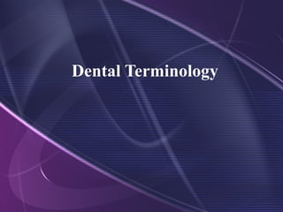 Tooth Morphology Basics Ppt