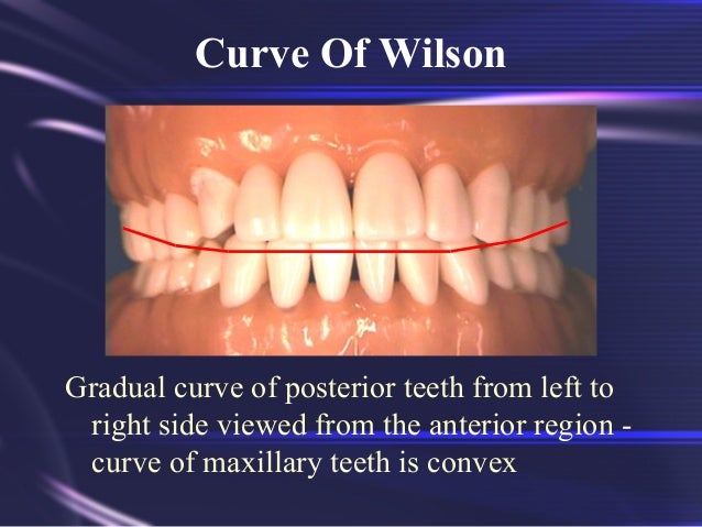 tooth morphology basics tooth morphology