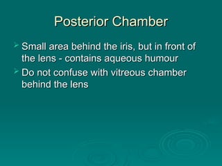 Posterior Chamber
Posterior Chamber
 Small area behind the iris, but in front of
Small area behind the iris, but in front of
the lens - contains aqueous humour
the lens - contains aqueous humour
 Do not confuse with vitreous chamber
Do not confuse with vitreous chamber
behind the lens
behind the lens
 
