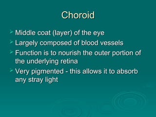 Choroid
Choroid
 Middle coat (layer) of the eye
Middle coat (layer) of the eye
 Largely composed of blood vessels
Largely composed of blood vessels
 Function is to nourish the outer portion of
Function is to nourish the outer portion of
the underlying retina
the underlying retina
 Very pigmented - this allows it to absorb
Very pigmented - this allows it to absorb
any stray light
any stray light
 