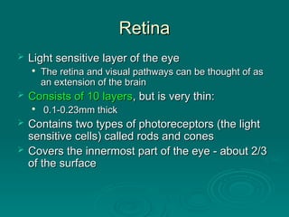Retina
Retina
 Light sensitive layer of the eye
Light sensitive layer of the eye

The retina and visual pathways can be thought of as
The retina and visual pathways can be thought of as
an extension of the brain
an extension of the brain
 Consists of 10 layers
Consists of 10 layers, but is very thin:
, but is very thin:

0.1-0.23mm thick
0.1-0.23mm thick
 Contains two types of photoreceptors (the light
Contains two types of photoreceptors (the light
sensitive cells) called rods and cones
sensitive cells) called rods and cones
 Covers the innermost part of the eye - about 2/3
Covers the innermost part of the eye - about 2/3
of the surface
of the surface
 