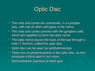 Optic Disc
Optic Disc
 The rods and cones are connected, in a complex
The rods and cones are connected, in a complex
way, with lots of other cell types in the retina
way, with lots of other cell types in the retina
 The rods and cones connect with the ganglion cells,
The rods and cones connect with the ganglion cells,
which join together to form the optic nerve
which join together to form the optic nerve
 The optic nerve leaves the back of the eye through a
The optic nerve leaves the back of the eye through a
hole (1.5x2mm) called the optic disc
hole (1.5x2mm) called the optic disc
 Optic disc can be seen by ophthalmoscopy
Optic disc can be seen by ophthalmoscopy
 There are no photoreceptors in the optic disc, so this
There are no photoreceptors in the optic disc, so this
produces a blind spot in our vision
produces a blind spot in our vision
 Demonstration exercise of blind spot
Demonstration exercise of blind spot
 