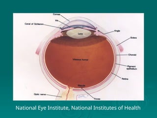 National Eye Institute, National Institutes of Health
 