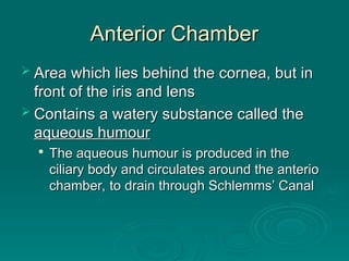 Anterior Chamber
Anterior Chamber
 Area which lies behind the cornea, but in
Area which lies behind the cornea, but in
front of the iris and lens
front of the iris and lens
 Contains a watery substance called the
Contains a watery substance called the
aqueous humour
aqueous humour

The aqueous humour is produced in the
The aqueous humour is produced in the
ciliary body and circulates around the anterio
ciliary body and circulates around the anterio
chamber, to drain through Schlemms’ Canal
chamber, to drain through Schlemms’ Canal
 