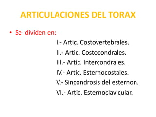 ARTICULACIONES DEL TORAX
• Se dividen en:
                I.- Artic. Costovertebrales.
                II.- Artic. Costocondrales.
                III.- Artic. Intercondrales.
                IV.- Artic. Esternocostales.
                V.- Sincondrosis del esternon.
                VI.- Artic. Esternoclavicular.
 