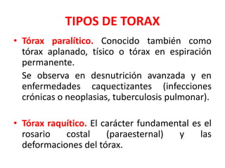 TIPOS DE TORAX
• Tórax paralítico. Conocido también como
  tórax aplanado, tísico o tórax en espiración
  permanente.
  Se observa en desnutrición avanzada y en
  enfermedades caquectizantes (infecciones
  crónicas o neoplasias, tuberculosis pulmonar).

• Tórax raquítico. El carácter fundamental es el
  rosario   costal     (paraesternal)  y     las
  deformaciones del tórax.
 