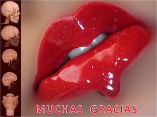 1 torax   esqueleto articulaciones