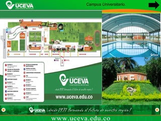 Campus Universitario.
 
