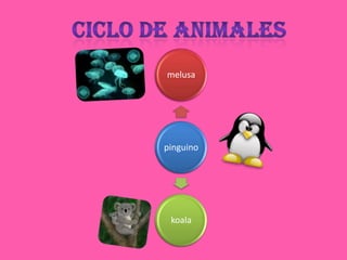 Ciclo de animales 