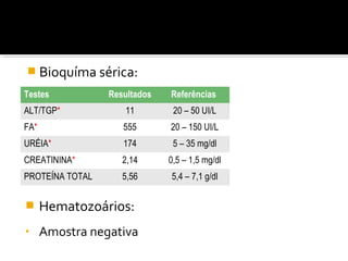  Bioquíma sérica:
Testes Resultados Referências
ALT/TGP* 11 20 – 50 UI/L
FA* 555 20 – 150 UI/L
URÉIA* 174 5 – 35 mg/dl
CREATININA* 2,14 0,5 – 1,5 mg/dl
PROTEÍNA TOTAL 5,56 5,4 – 7,1 g/dl
 Hematozoários:
• Amostra negativa
 