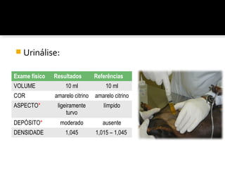  Urinálise:
Exame físico Resultados Referências
VOLUME 10 ml 10 ml
COR amarelo citrino amarelo citrino
ASPECTO* ligeiramente
turvo
límpido
DEPÓSITO* moderado ausente
DENSIDADE 1,045 1,015 – 1,045
 
