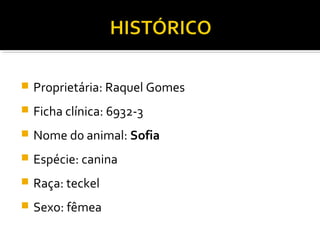  Proprietária: Raquel Gomes
 Ficha clínica: 6932-3
 Nome d0 animal: Sofia
 Espécie: canina
 Raça: teckel
 Sexo: fêmea
 