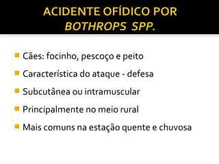  Cães: focinho, pescoço e peito
 Característica do ataque - defesa
 Subcutânea ou intramuscular
 Principalmente no meio rural
 Mais comuns na estação quente e chuvosa
 