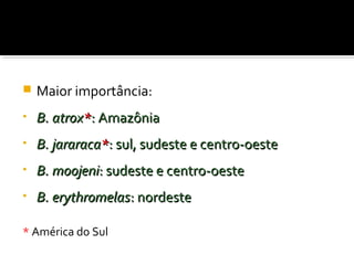  Maior importância:
• B. atroxB. atrox**: Amazônia: Amazônia
• B. jararacaB. jararaca**: sul, sudeste e centro-oeste: sul, sudeste e centro-oeste
• B. moojeniB. moojeni: sudeste e centro-oeste: sudeste e centro-oeste
• B. erythromelasB. erythromelas: nordeste: nordeste
* América do Sul
 